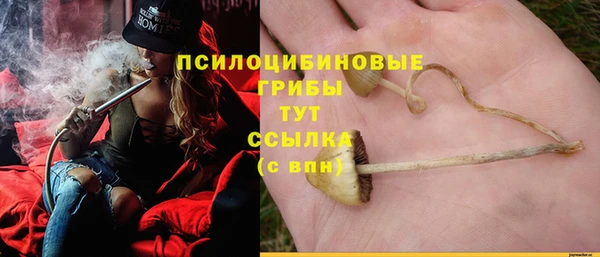 мет Дмитриев