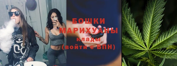ECSTASY Дмитров