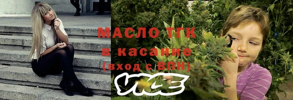 сатива Дмитровск