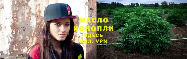 мет Дмитриев