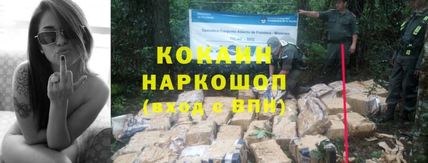 мет Дмитриев