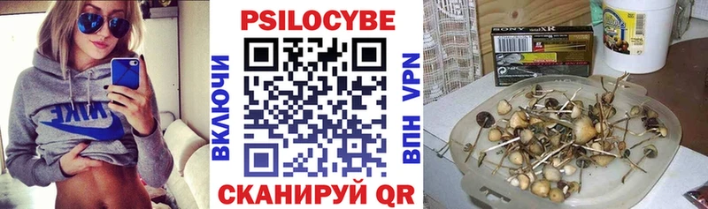 Псилоцибиновые грибы прущие грибы  сайты даркнета состав  Чегем  закладки  ОМГ ОМГ онион 